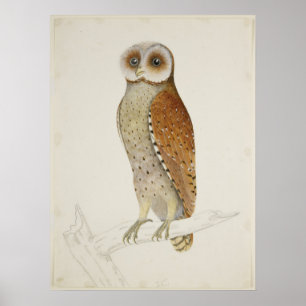 Poster OEuvre d'oiseau rustique vintage
