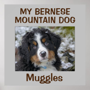 Poster OEuvre murale de chien personnalisée