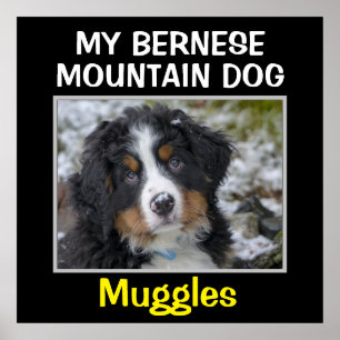 Poster OEuvre murale de chien personnalisée