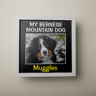 Poster OEuvre murale de chien personnalisée