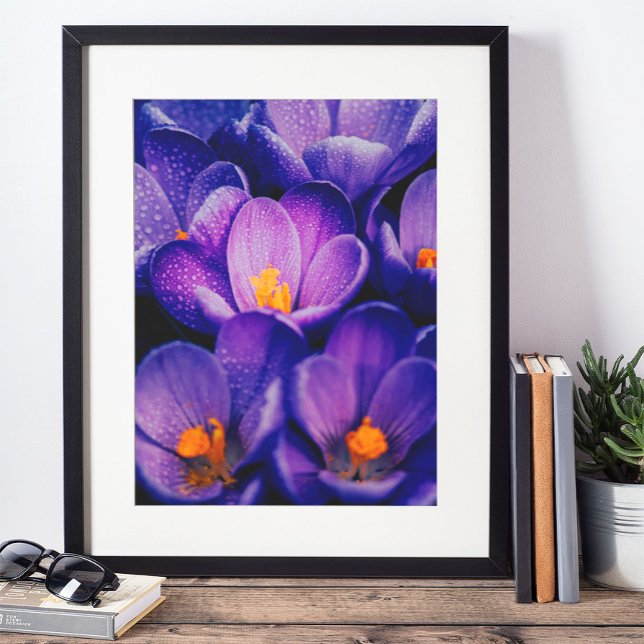 Poster OEuvre murale de fleurs violettes | Fleur de lotus (Créateur téléchargé)