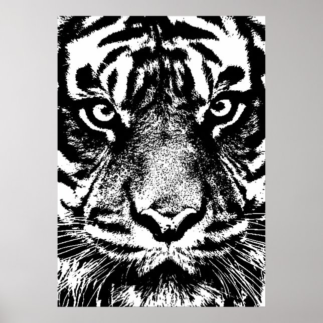 Poster OEuvre oculaire noir blanc Sumatra Bornéo Tiger (Devant)