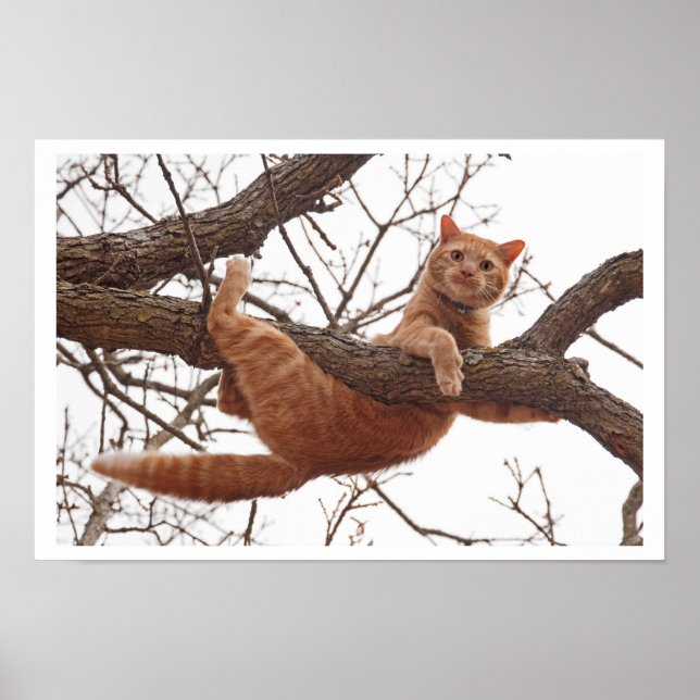 Poster of a cat about to fall off of a tree (Front)
