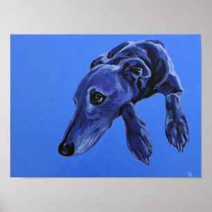 Poster of 'Cobalt Daydream' - blue lurcher dog