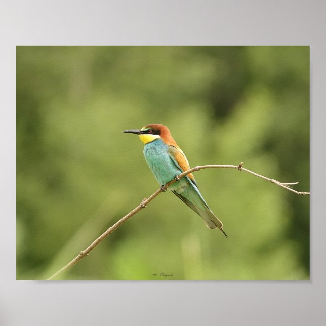 Poster of European beekeepers (Front)