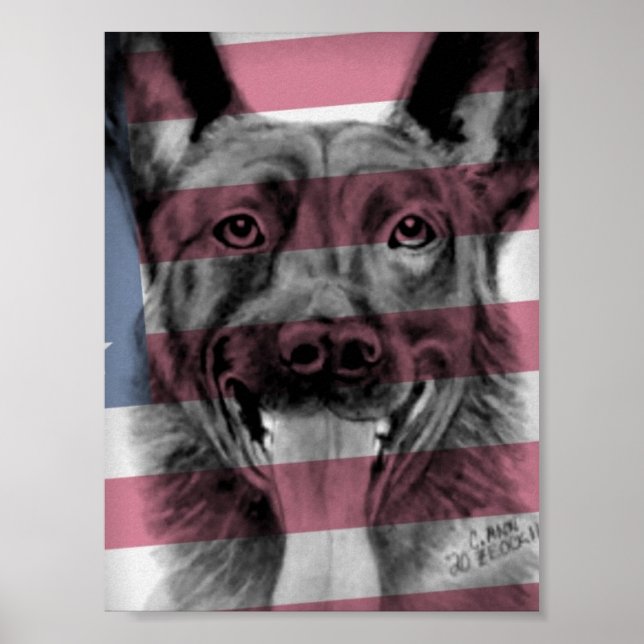 Poster of K9 Dutch Shepherd original artwork (Front)