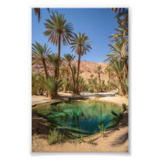 poster of marrakech oasis 