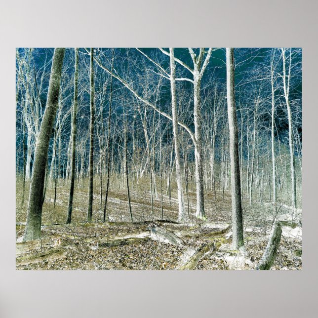 Poster Off the Path version 1 (Devant)