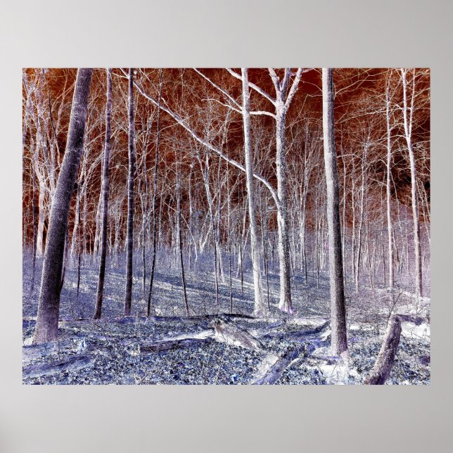 Poster Off the Path version 2 (Devant)