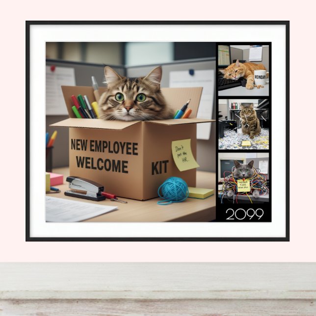 Poster Office Fun Cats Photo Poster, 2026 / Business Cat (Cats Fun meme poster / Office Poster)