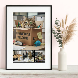 Poster Office Fun Cats Photo Poster, Business Cat