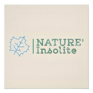 Poster: Official logo of the show Poster