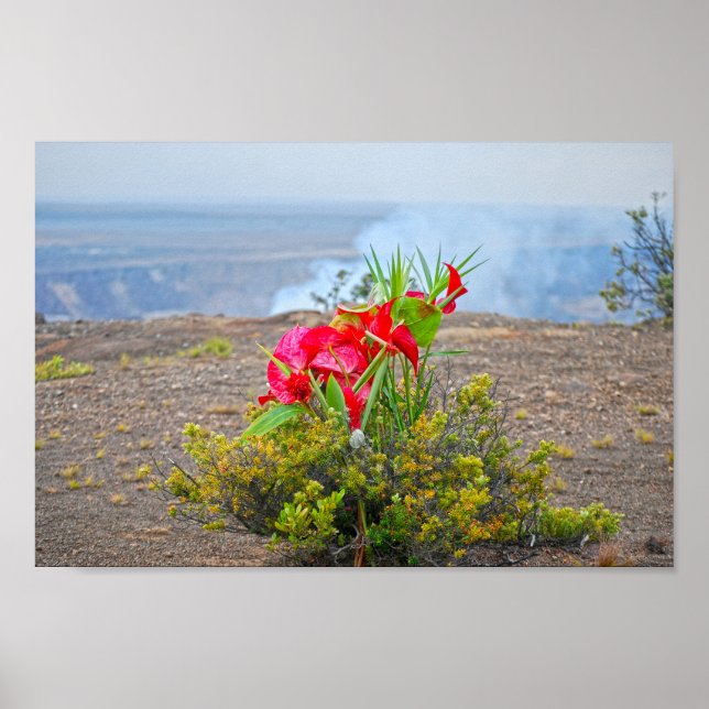 Poster Offre à Pele, déesse du volcan hawaïen (Devant)