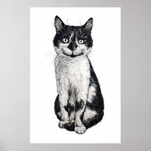 Poster Ogie le chat