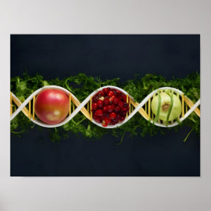 Poster OGM Aliments et cultures génétiquement modifiées