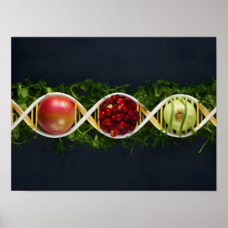 Poster OGM Aliments et cultures génétiquement modifiées