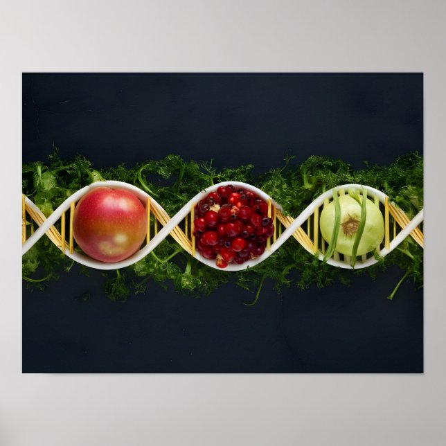 Poster OGM Aliments et cultures génétiquement modifiées (Devant)