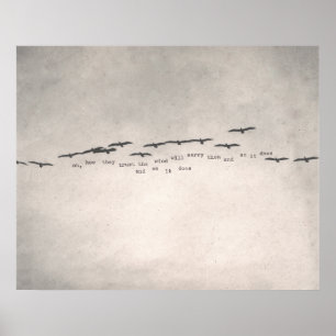 Poster "oh, how they trust"