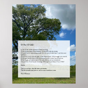 Poster Oh Me! Oh Life! Walt Whitman Poem, Tree & Blue Sky