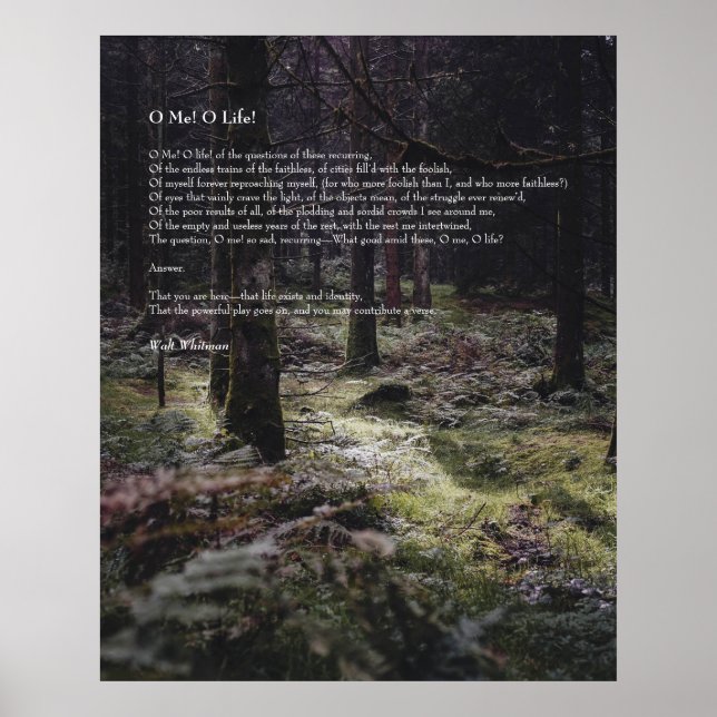 Poster Oh Moi ! Oh la vie ! Walt Whitman Poem Chemin en b (Devant)