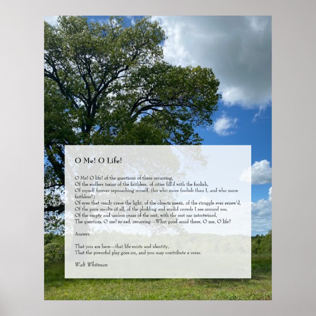 Poster Oh Moi ! Oh la vie ! Walt Whitman Poem, Tree & Blu (Devant)