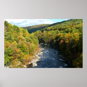 Poster Ohiopyle River à l'automne I Pennsylvanie Automne