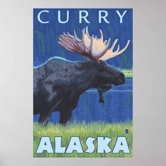 Poster Oie à la nuit - Curry, Alaska (Devant)