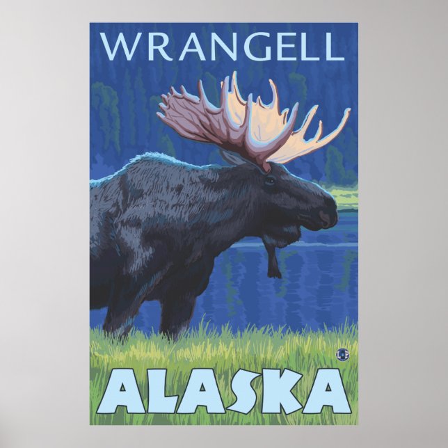 Poster Oie à la nuit - Wrangell, Alaska (Devant)