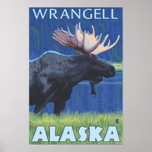 Poster Oie à la nuit - Wrangell, Alaska