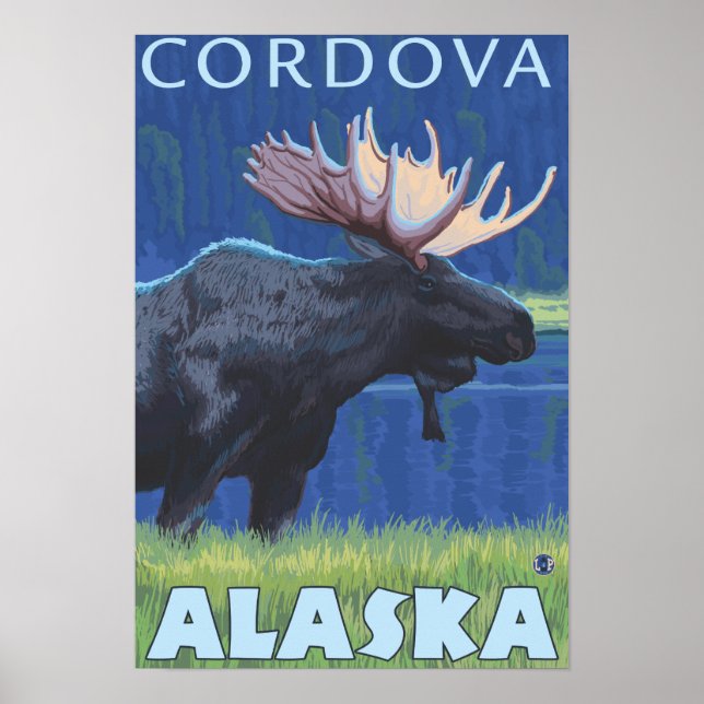 Poster Oie de nuit - Cordova, Alaska (Devant)