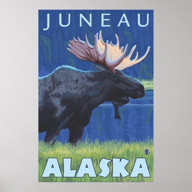 Poster Oie de nuit - Juneau, Alaska (Devant)