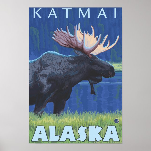 Poster Oie de nuit - Katmai, Alaska (Devant)