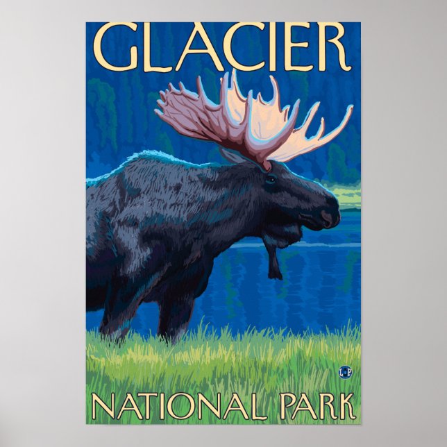 Poster Oie de nuit - Parc national des Glaciers, MT (Devant)