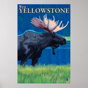 Poster Oie de nuit - West Yellowstone, Montana
