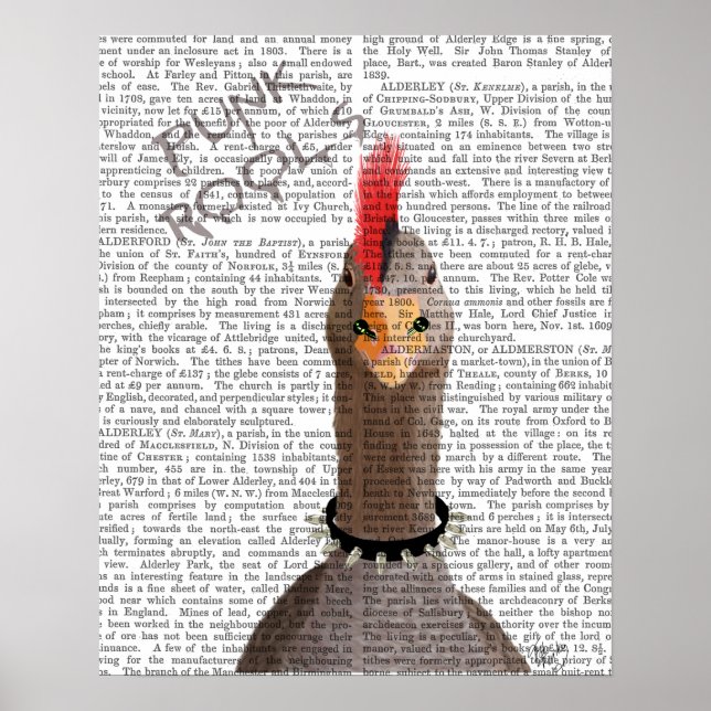 Poster Oie de Punk Rock (Devant)