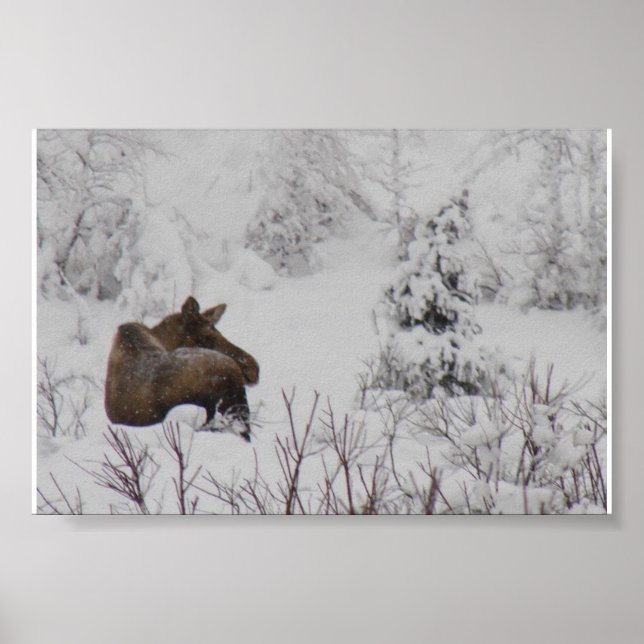 Poster Oie Lone - Logan Guinn (Devant)