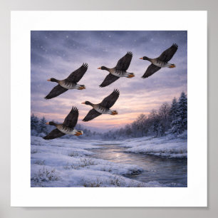 Poster Oies à front blanc en hiver –