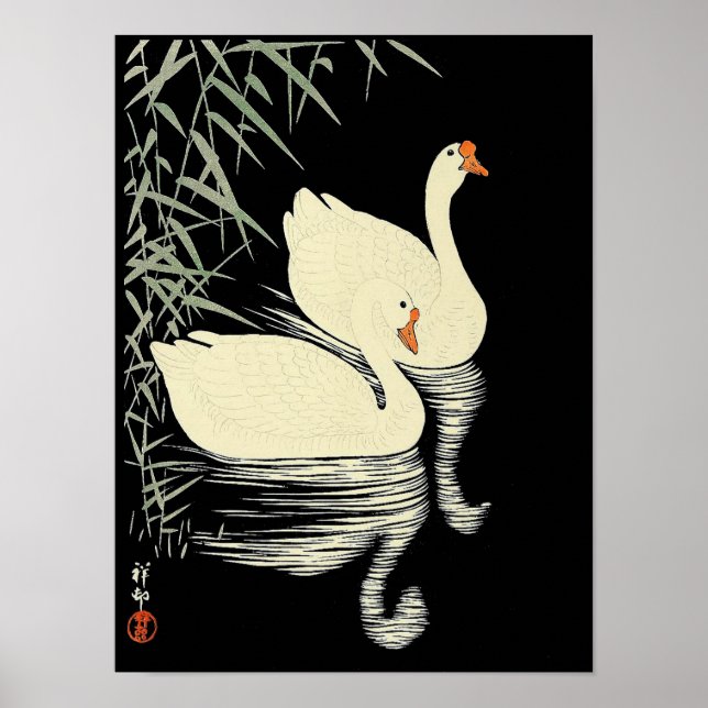 Poster Oies blanches orientales par roseaux par Ohara Kos (Devant)