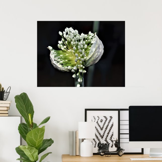 Poster Oignon de printemps (Bureau à domicile)