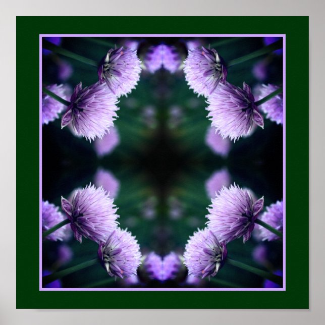 Poster Oignon de Scallion Violet Fleur Vers le haut Abstr (Devant)