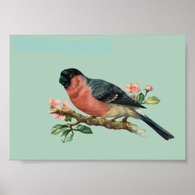 Poster Oiseau (Devant)