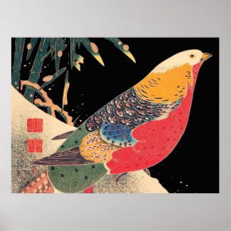 Poster Oiseau