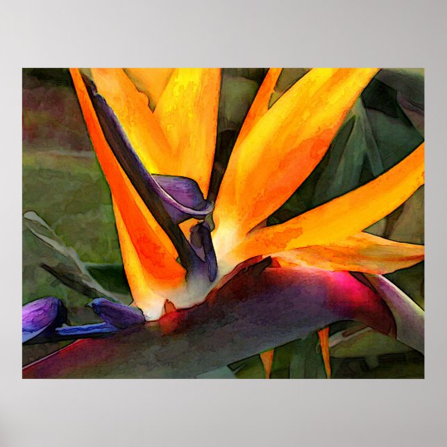 Poster Oiseau Abstrait du paradis (Devant)