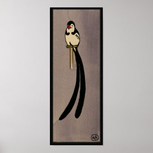 Poster Oiseau - ancien, illustration de livre colorée