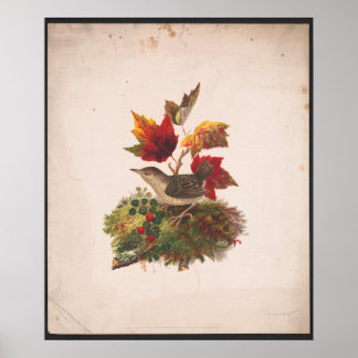 Poster Oiseau Au Foilage D'Automne Illustration Antique