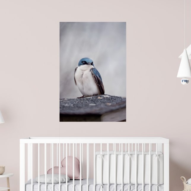 Poster Oiseau Bleu (Pépinière 2)