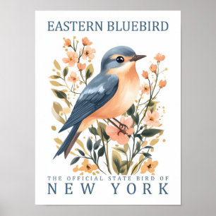 Poster Oiseau bleu de l'Est de New York États-Unis