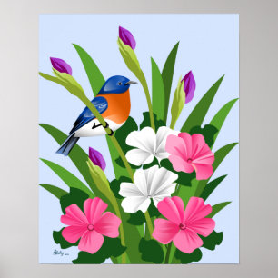 Poster Oiseau bleu oriental