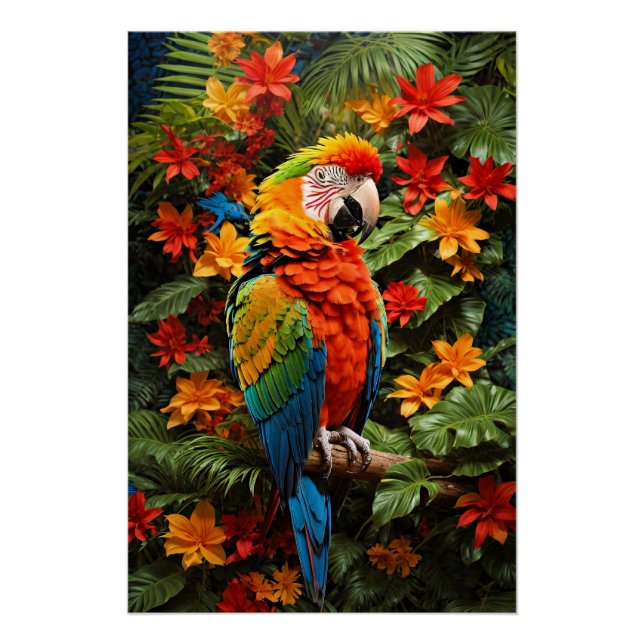 Poster Oiseau coloré Macaw (Devant)