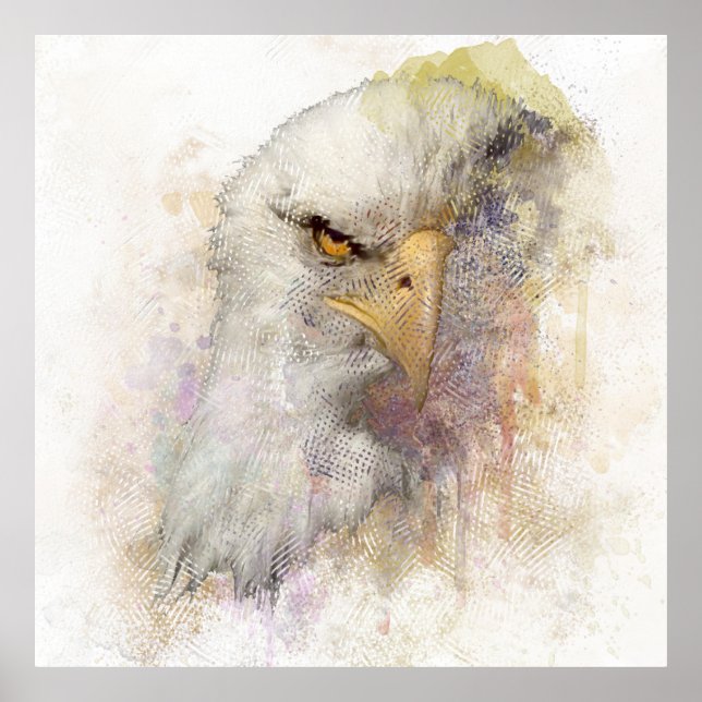 Poster Oiseau D'Aigle À Bald Américain De Prey Aquarelle (Devant)